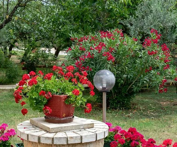 公寓 M&a - C 法扎纳